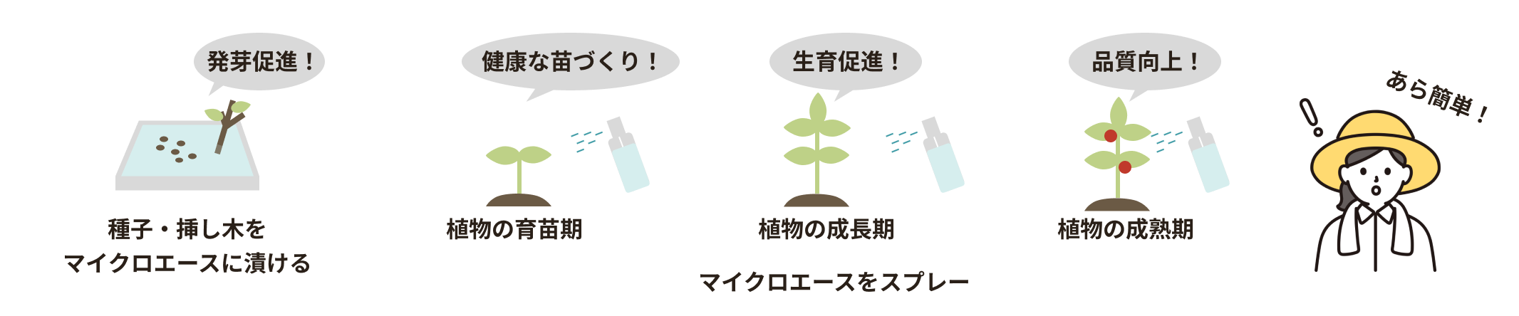 マイクロエースの使い方ステップ
